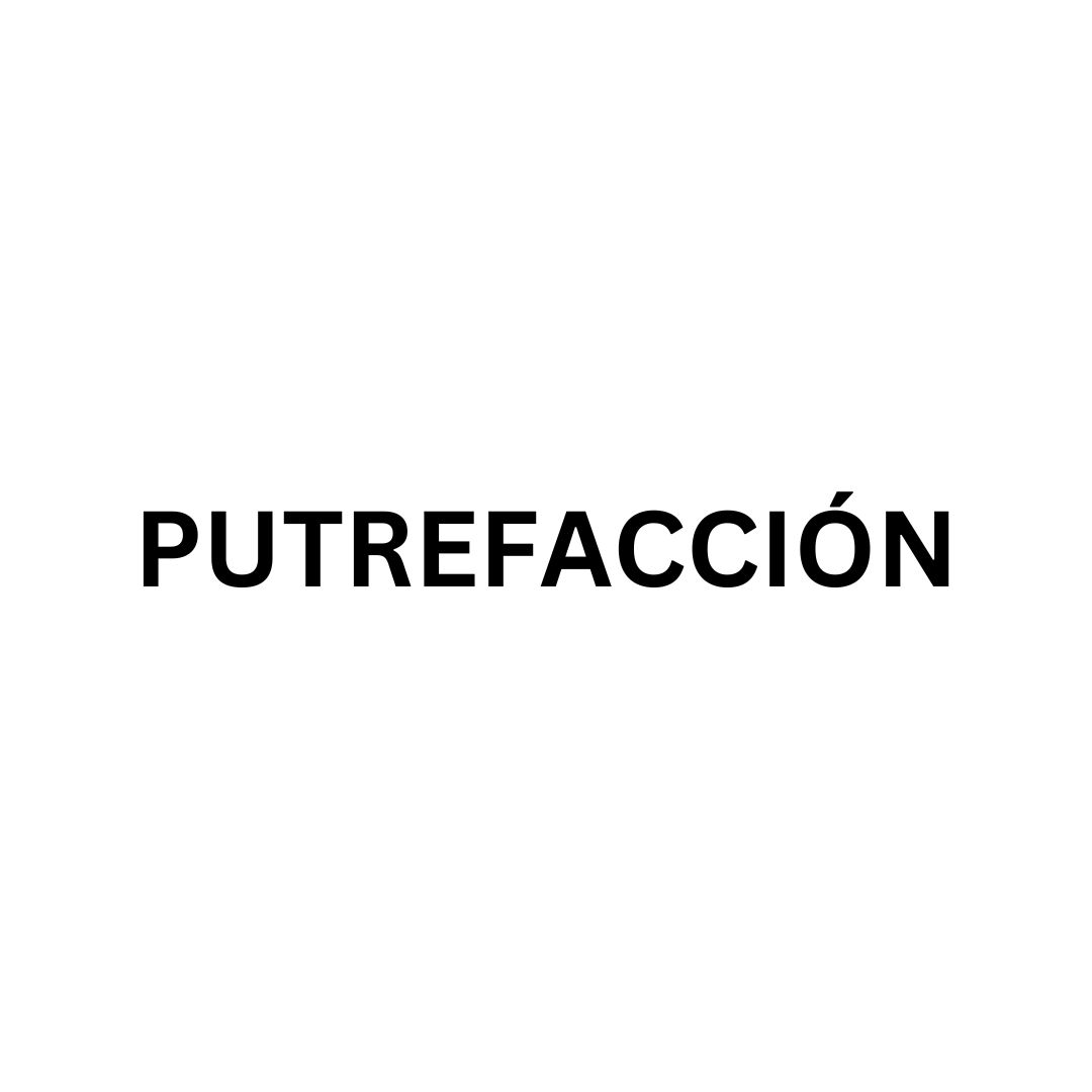 Putrefacción